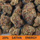Sativa