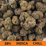 Indica